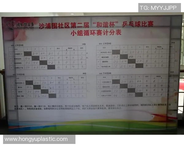 赵芳独家分享乒乓球技巧与心得助你提升球技的全攻略